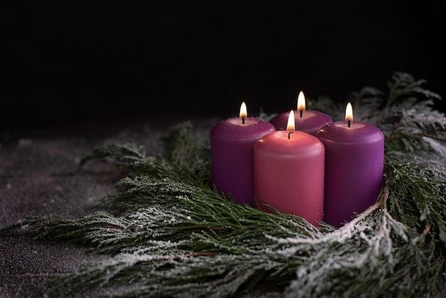Vier violette und rosafarbene Adventskerzen auf verschneitem Tannengrün